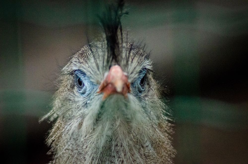 Фотография автора Владимир Брызгунов