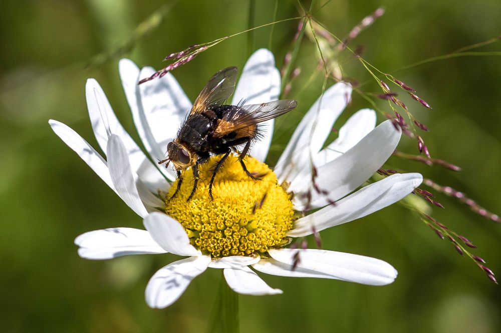 Photograph by Владимир Карпов