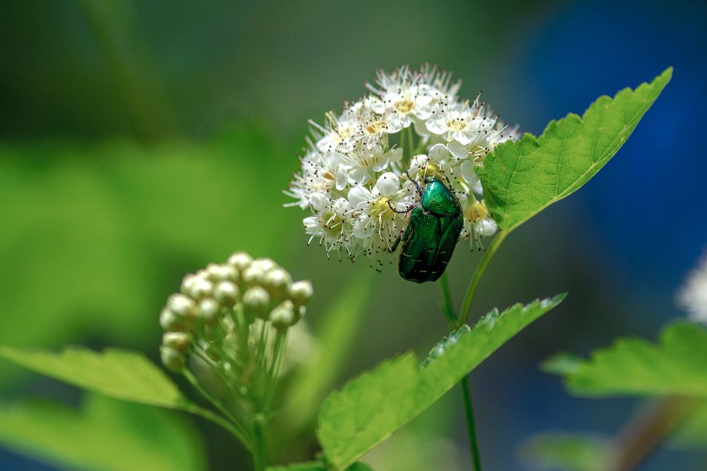 Photograph by Владимир Карпов