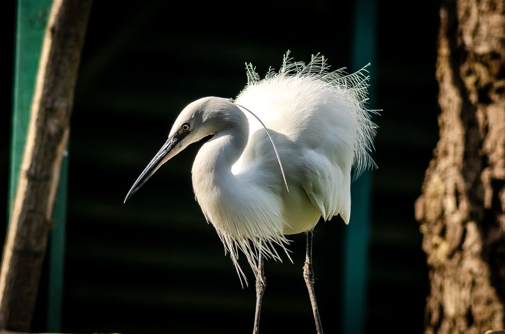 Фотография автора Владимир Брызгунов