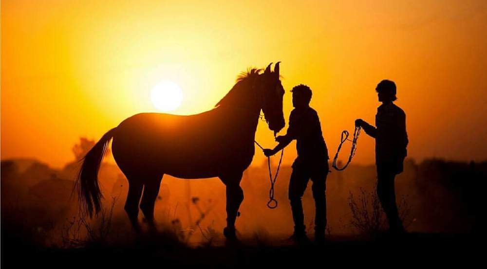 Photograph by Russell Dmello