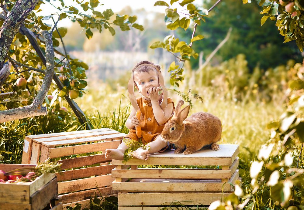 Два зайчика