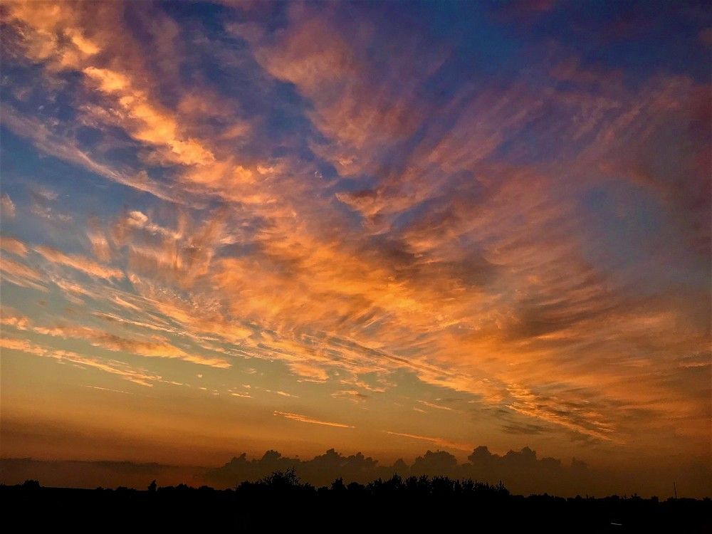 Перистые облака в закате
