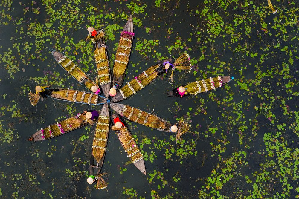 Photograph by Nguyen sanh quoc huy