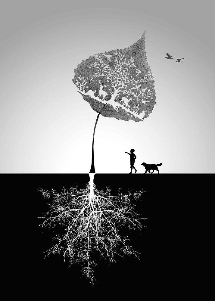 Photograph by 杨 阳