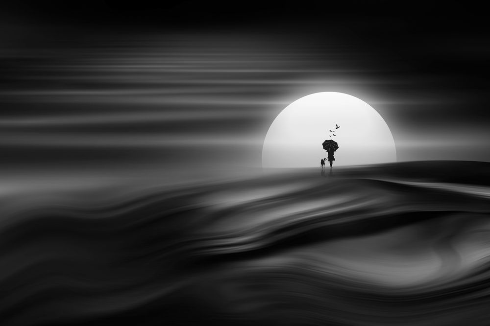 Photograph by 杨 阳