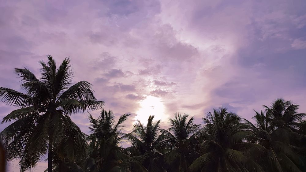 Photograph by Pankaj Kumar