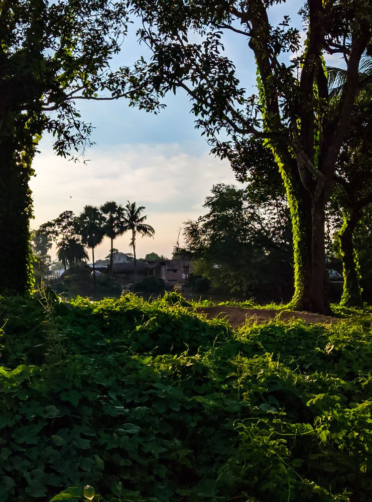 Photograph by Arnab Mallick