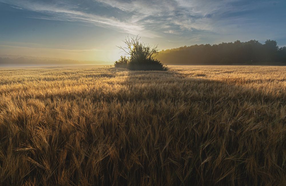 Photograph by Nikita Silyavin