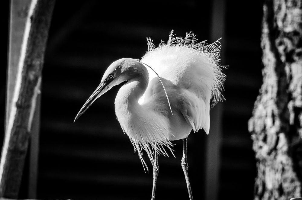 Фотография автора Владимир Брызгунов