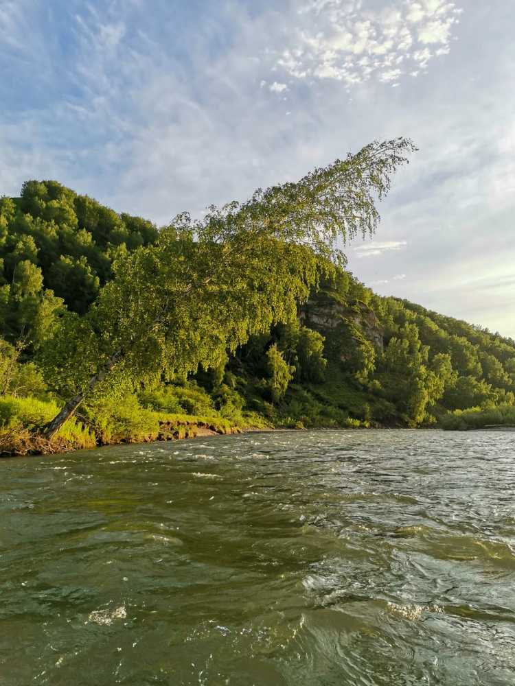 Photograph by Евгения Арапова