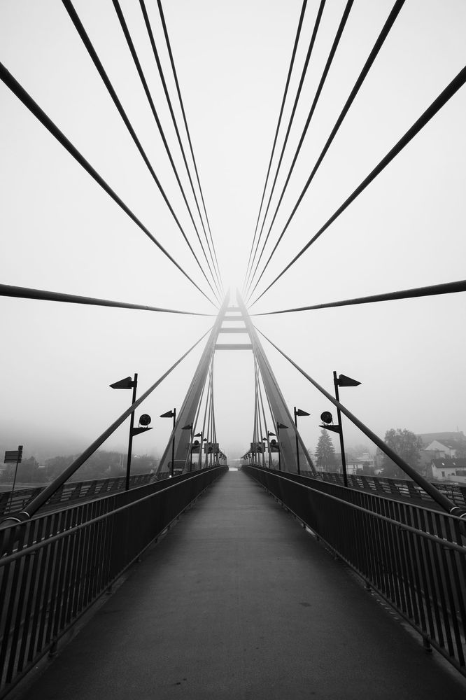 Photograph by Nikita Pazin