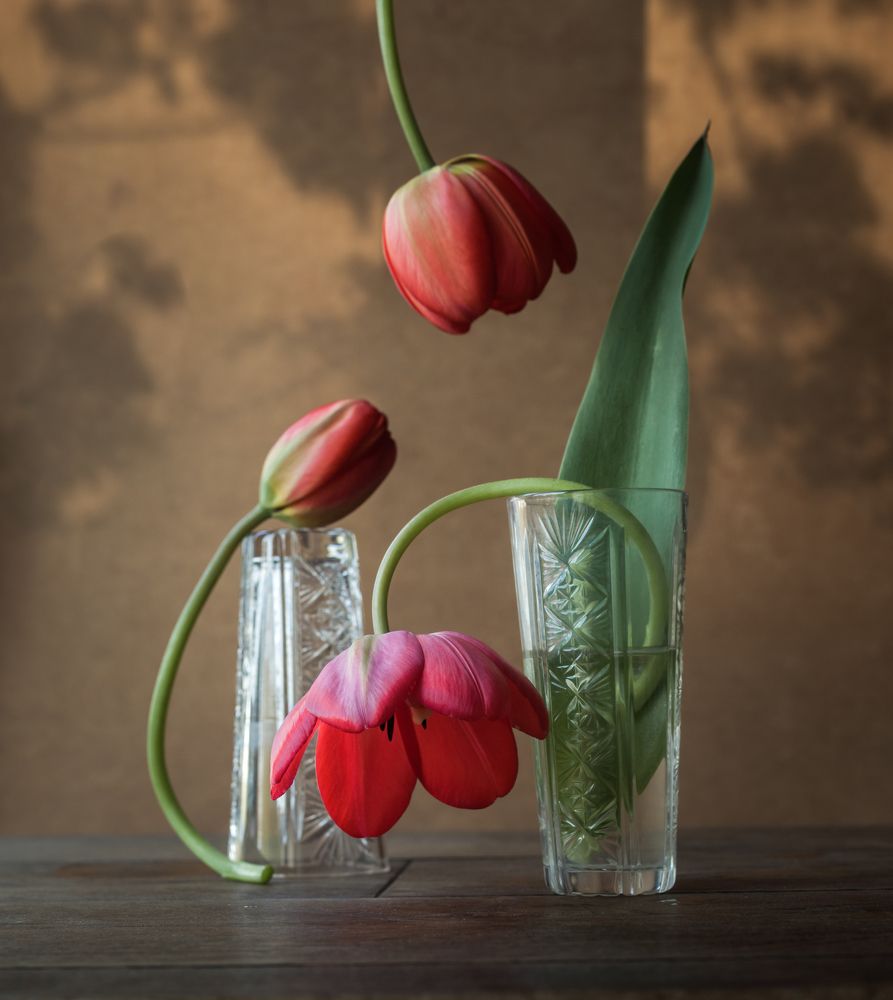 Photograph by Татьяна Макотра