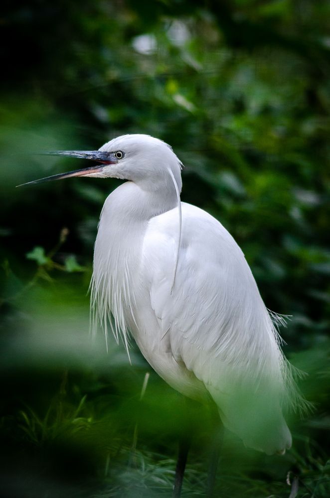 Фотография автора Владимир Брызгунов