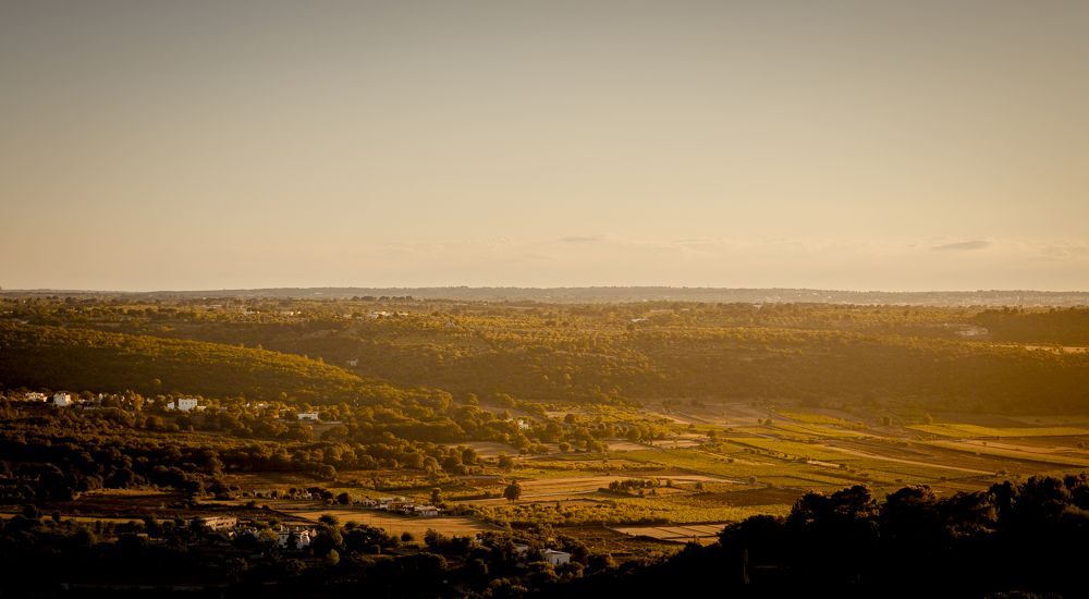 Photograph by Francesco Schiavone