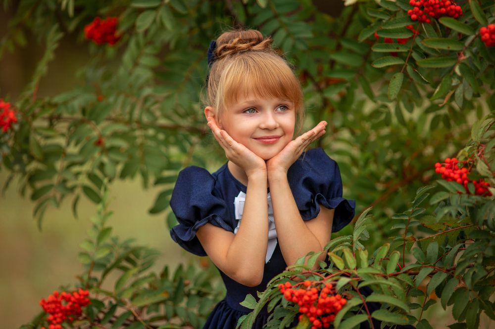 Рябиновое утро