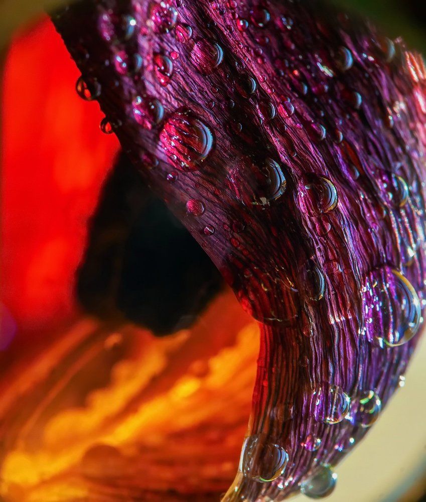 Лиловые капли.