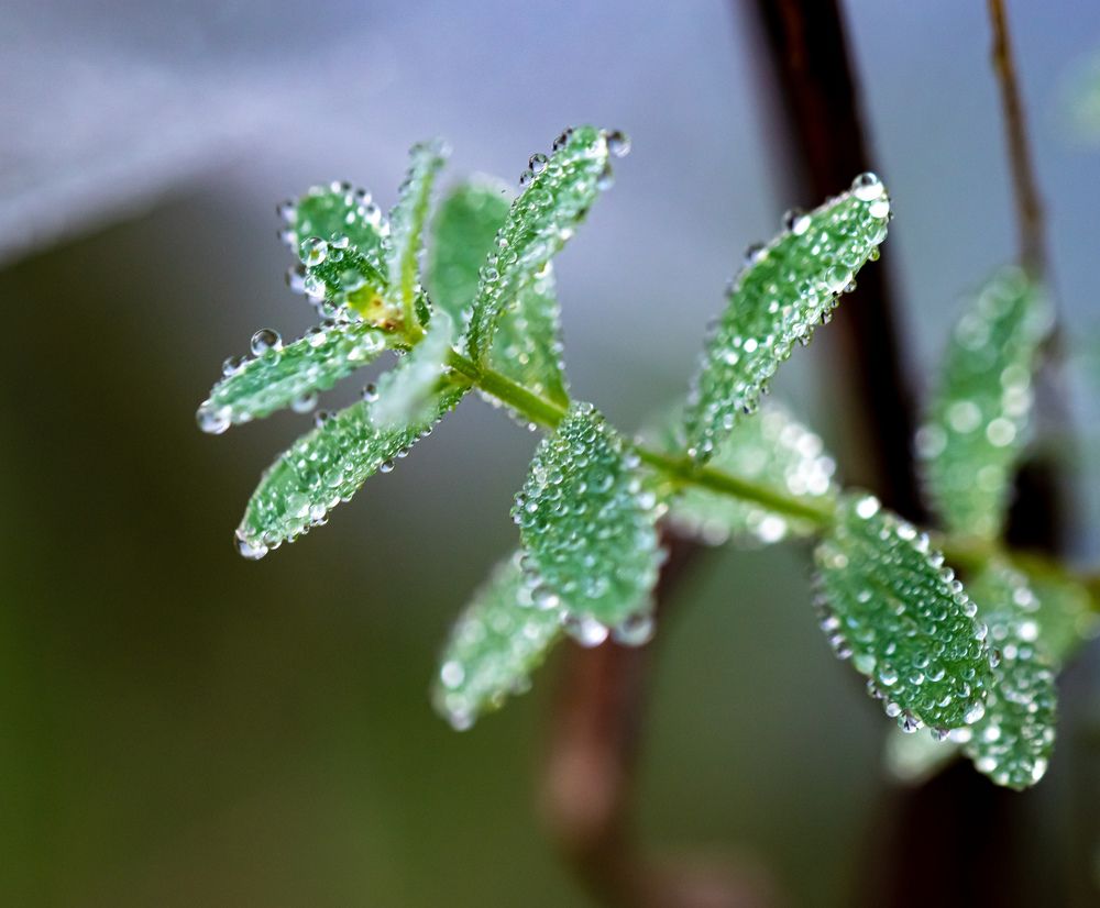 Photograph by Наталья