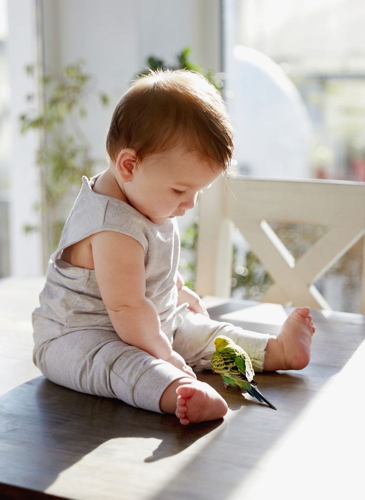 Photograph by Елизавета Балика