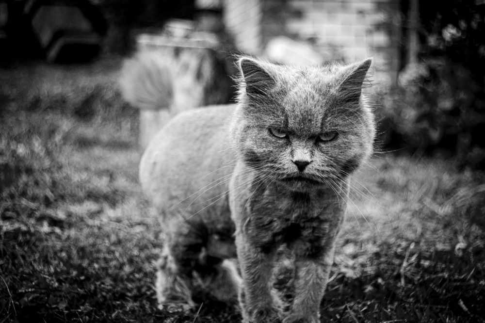 Photograph by Сяргей Клемянок