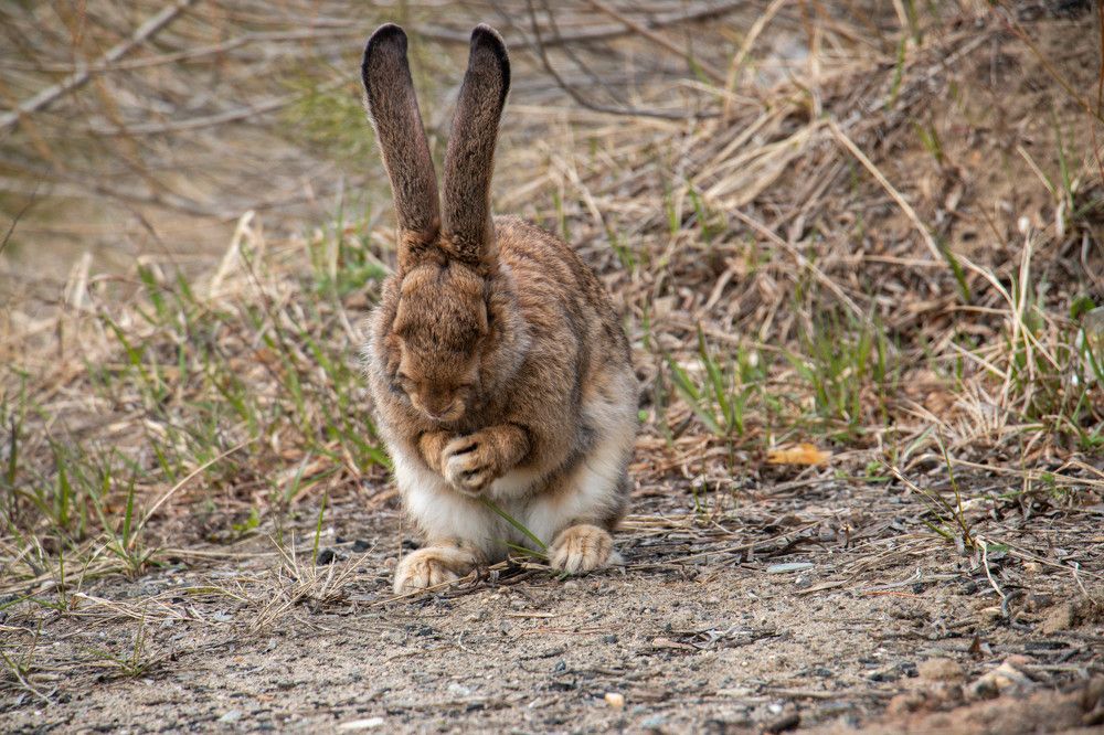 Photograph by Julija