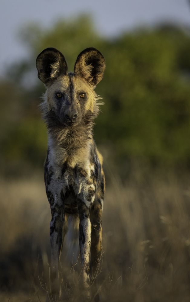 Photograph by Cathan Moore