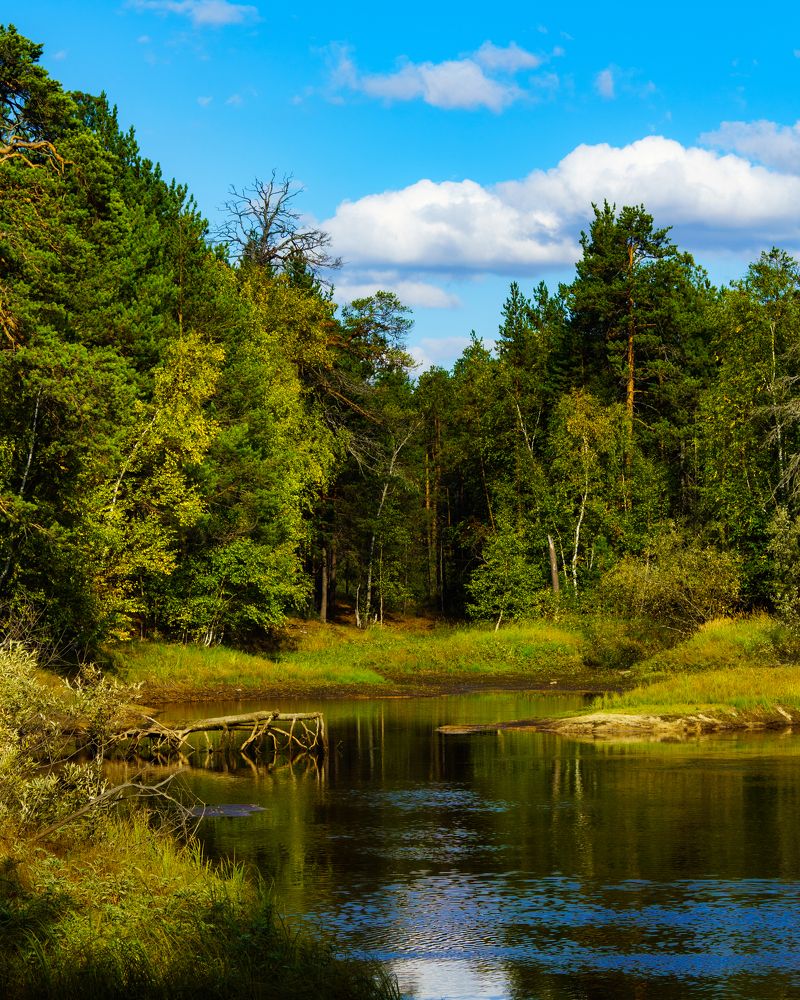Ранняя осень.