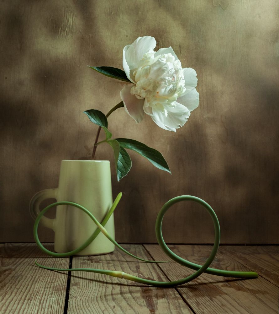 Photograph by Татьяна Макотра