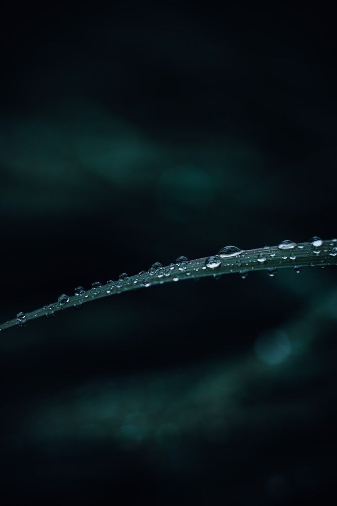 Photograph by Алексей Иванов