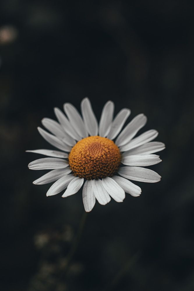 Photograph by Алексей Иванов