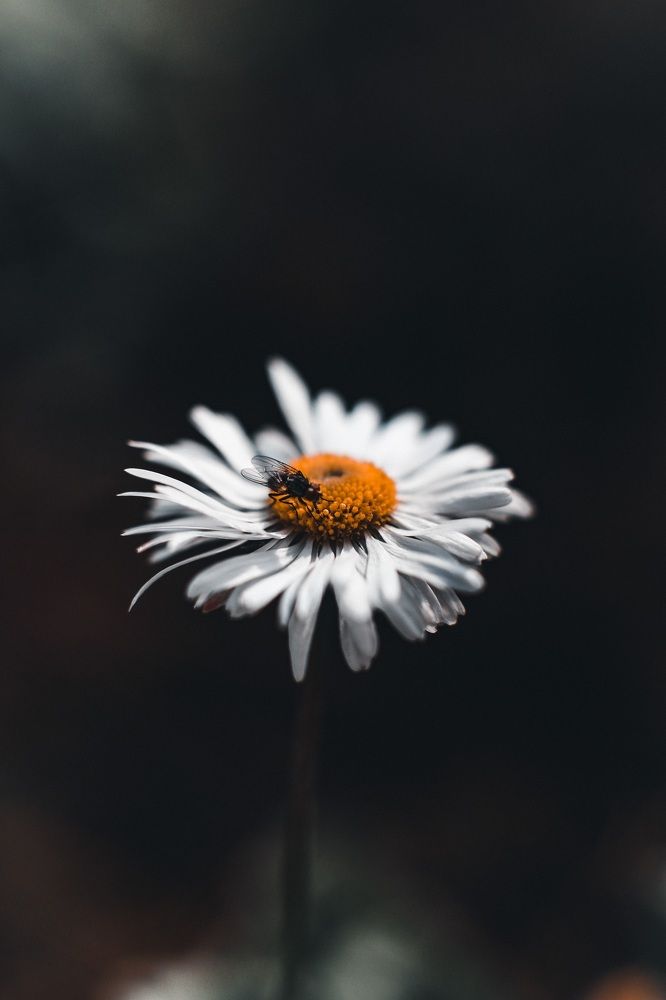 Photograph by Алексей Иванов