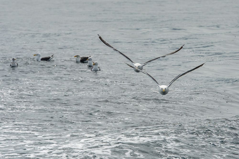 Photograph by Андрей Анатольевич Жуков