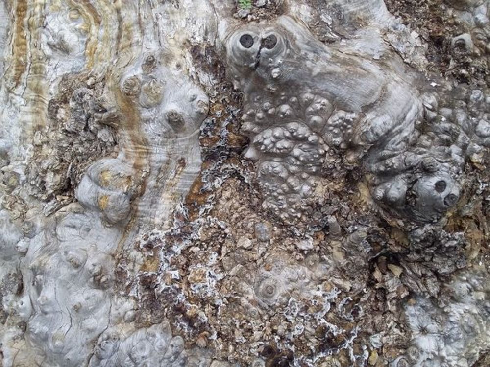 Photograph by Анастасия Кичигина