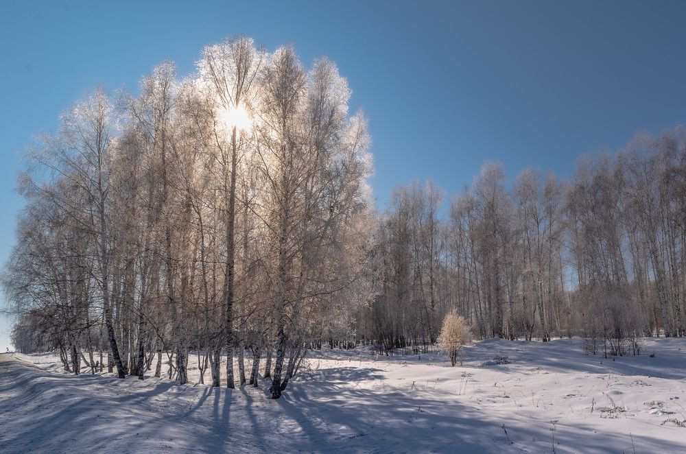 Солнце "запуталось в сети".