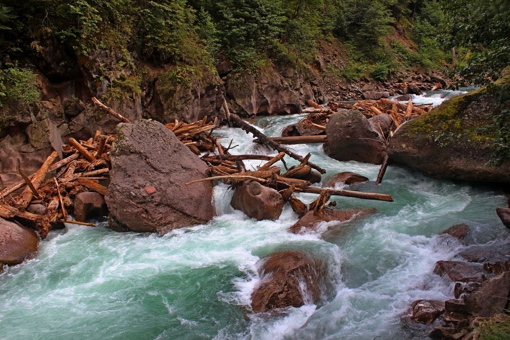 Photograph by Сергей Смоленцев