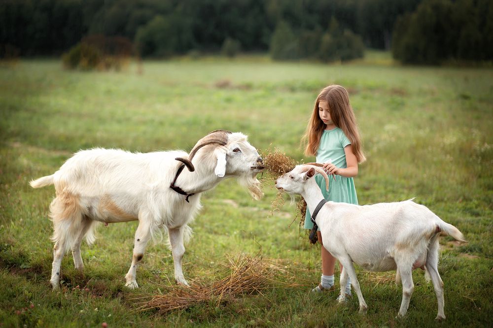 Photograph by Полина Парамонова