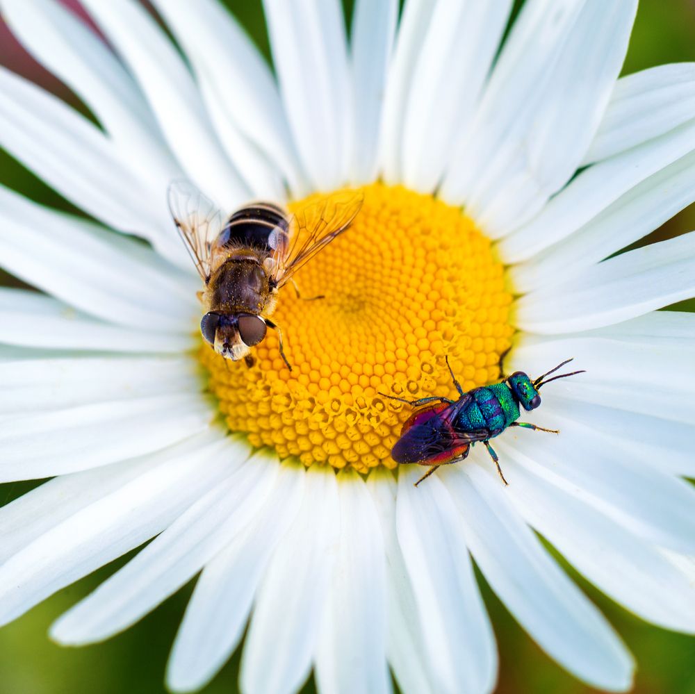 Photograph by Руслана Валеева