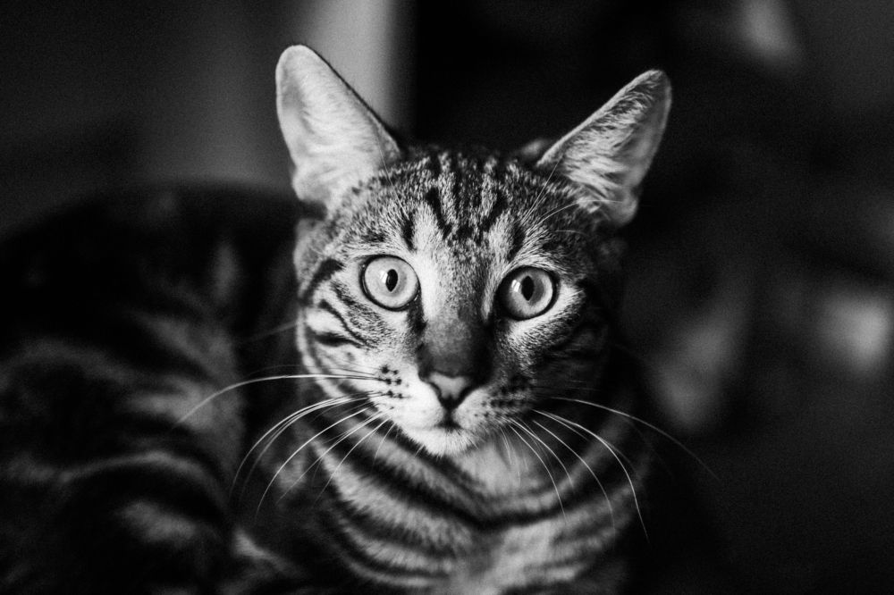 Photograph by Дарья Самойлова