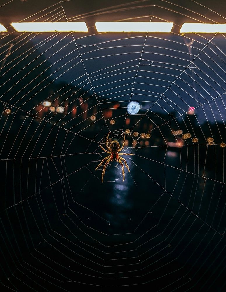 Photograph by Ahmed Rahal