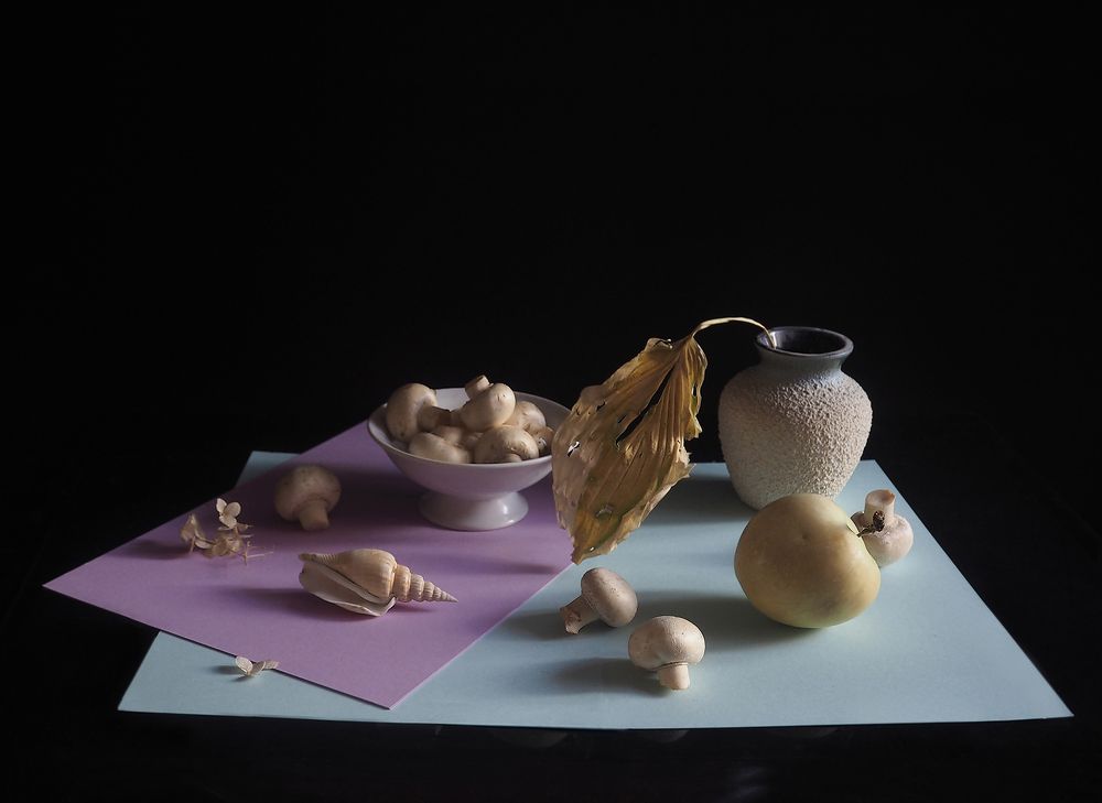 Фотография автора Vera Eremeeva