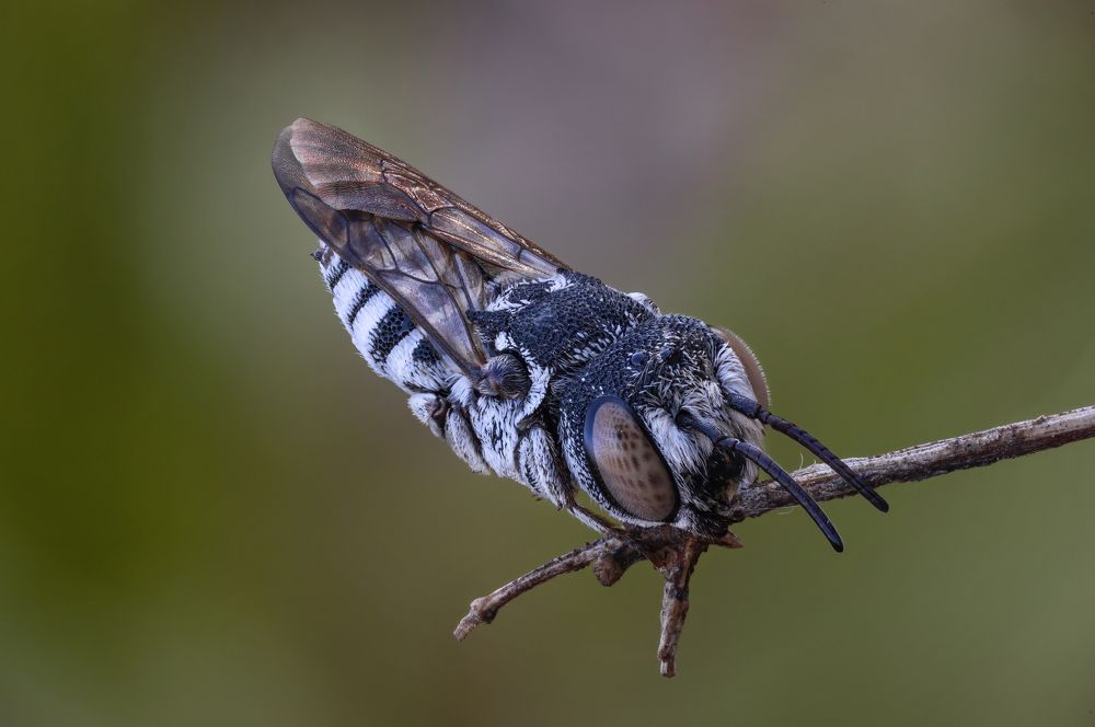 Photograph by Andrey Ostapenko