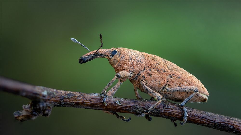 Photograph by Andrey Ostapenko