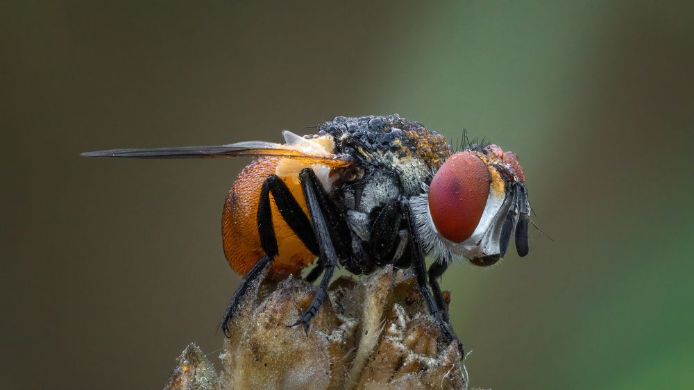 Photograph by Andrey Ostapenko