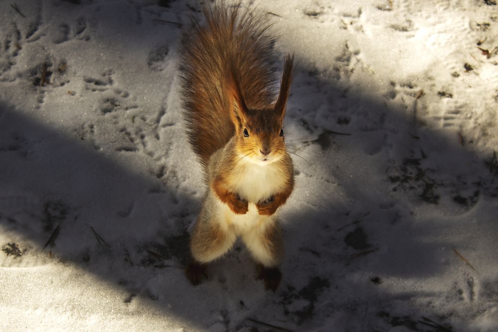 Photograph by Дарья Самойлова