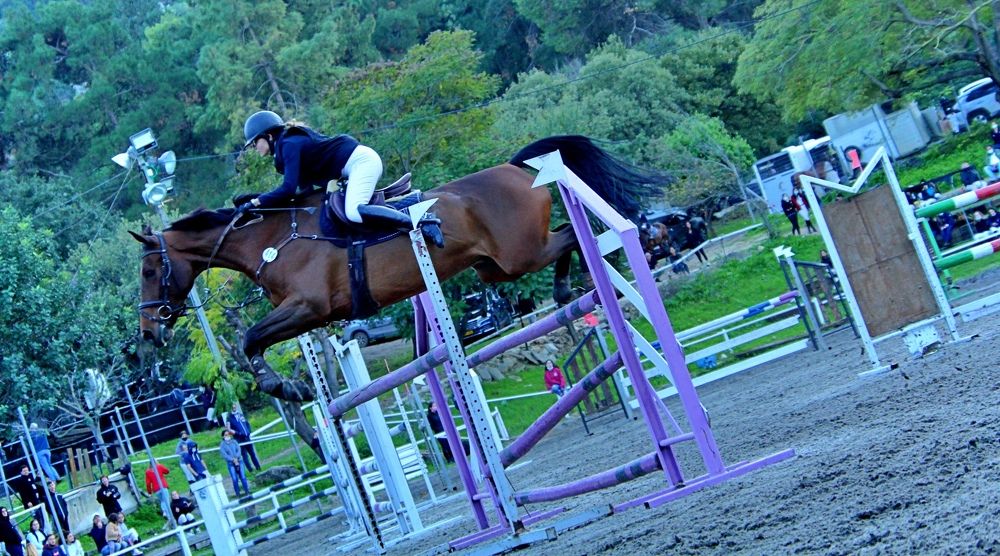 Photograph by Debbie Strauss