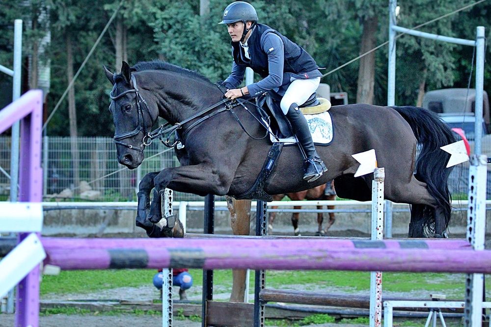 Photograph by Debbie Strauss