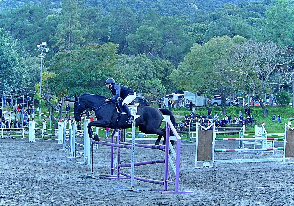 Photograph by Debbie Strauss