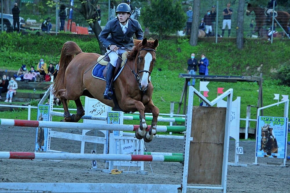 Photograph by Debbie Strauss