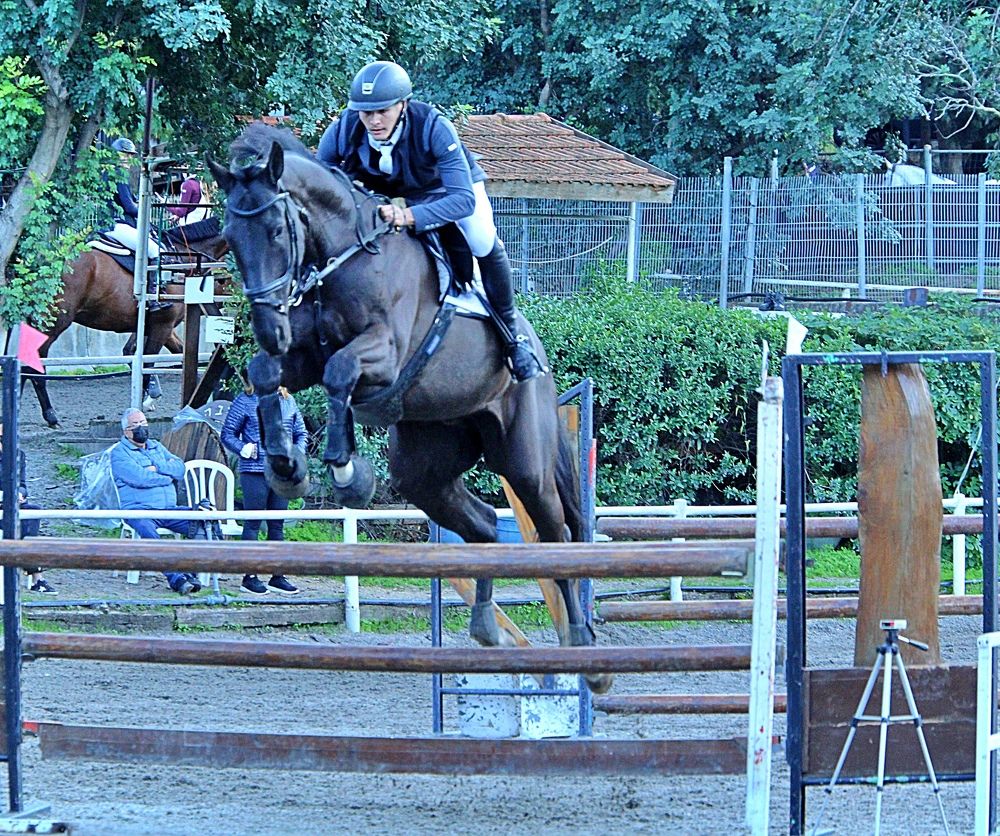 Photograph by Debbie Strauss