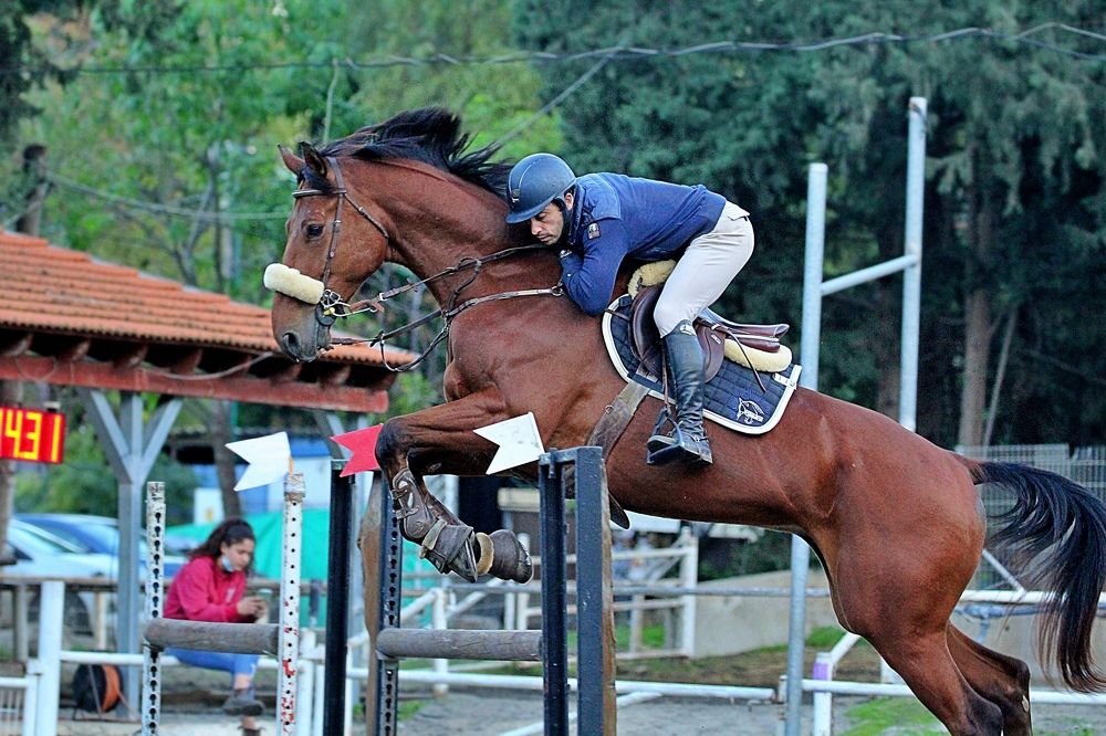 Photograph by Debbie Strauss